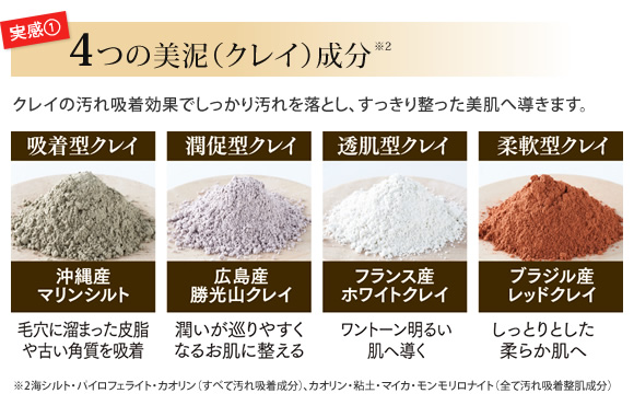 4つの美泥(クレイ)成分